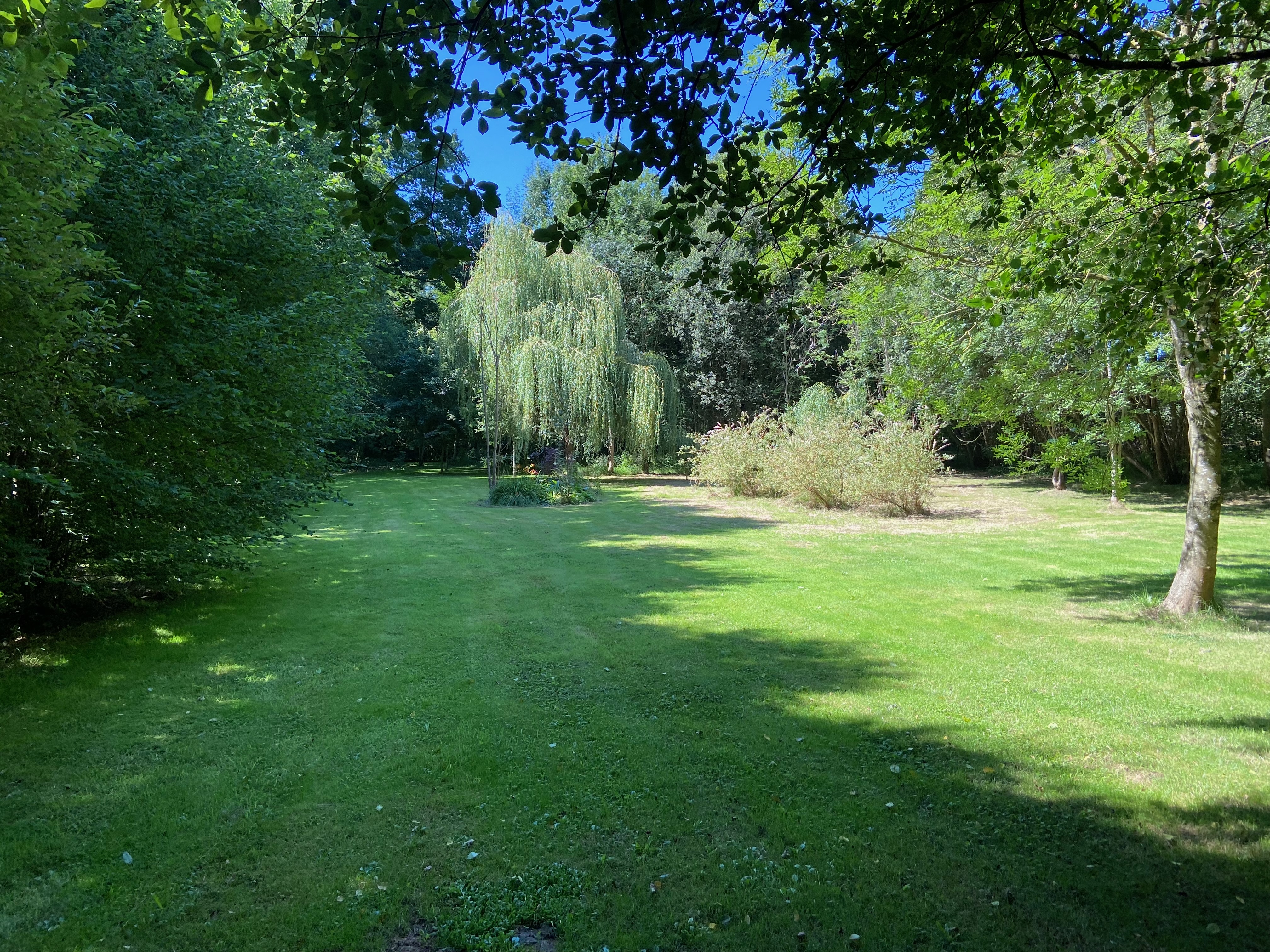 The grounds